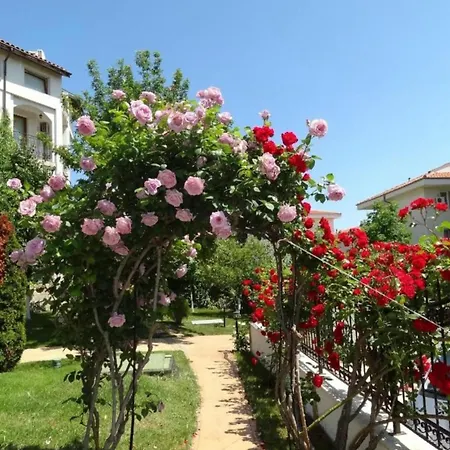 Sea Side With Balcony Apartment Sveti Vlas